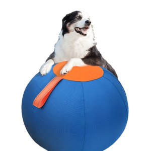 Dog Giant Ball Toy, Full Set Of Dog Balls, Golden Retriever Biting Balls, Boredom Relief Balls, Funny Shiba Inu Corgi Self Hi Pet Training Balls, Dog Balls, Dog Toys, Cattle Dog Polo, Australian Shepherd Polo, Without Battery